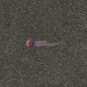 borgia_productshot_95_hr