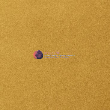 oinone-54