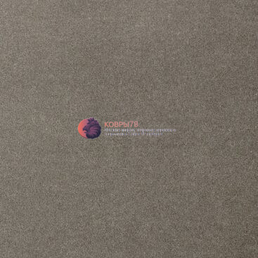 oinone-95